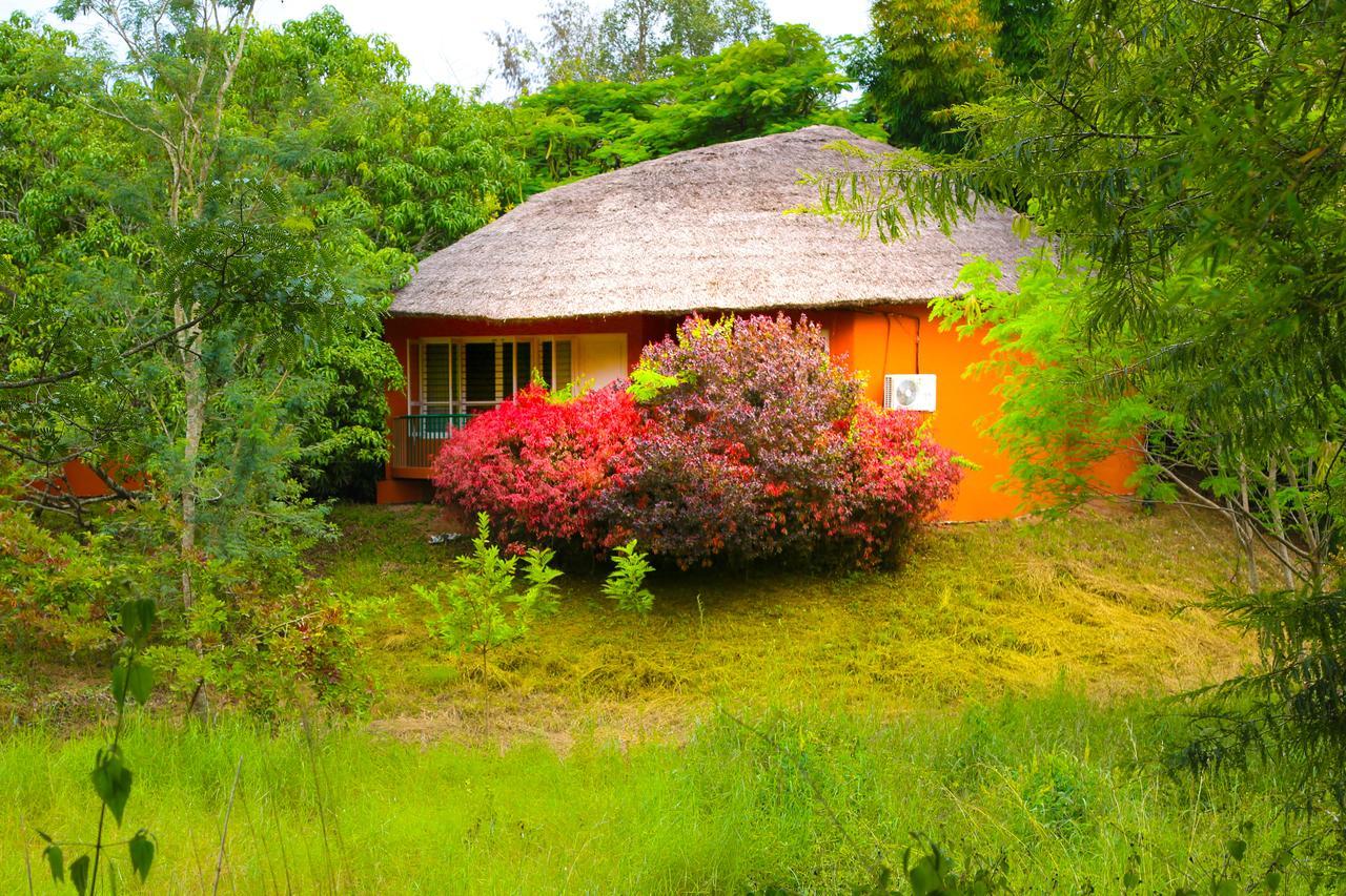 Kings Sanctuary Nagarhole & Kabini Hunsur Exterior photo